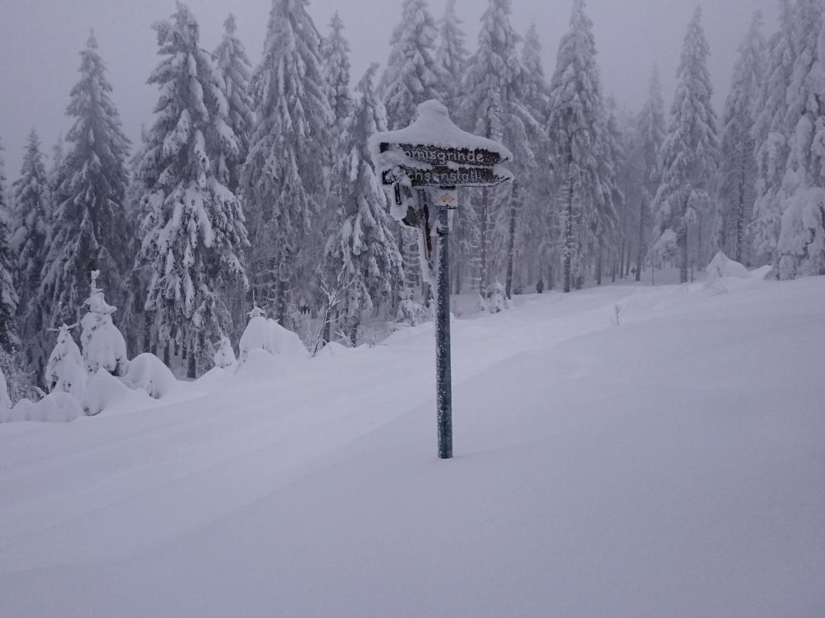 Fewo Vogesenblick Appartement Lauf Buitenkant foto