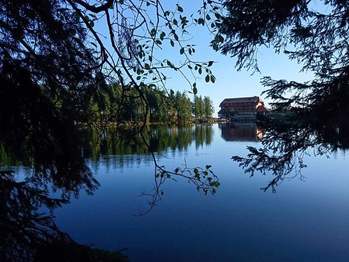 Fewo Vogesenblick Appartement Lauf Buitenkant foto