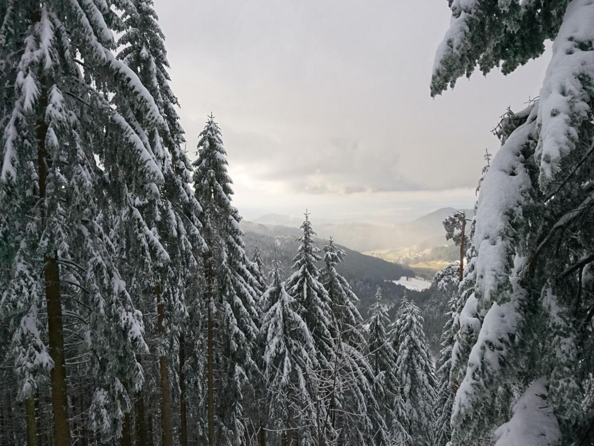 Fewo Vogesenblick Appartement Lauf Buitenkant foto
